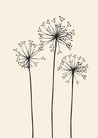 Minimalistische paardenbloemen door Flow Line