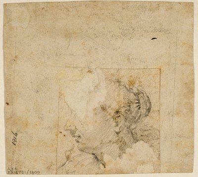 Vrouwelijk hoofd in profiel naar links; schets van bomen en gebouw door Follower of Jacopo Bassano