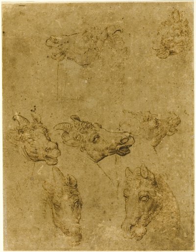 Hoofden van paarden en eenhoorns door Follower of Leonardo da Vinci