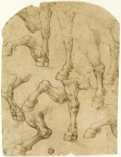 Schetsen van de benen van paarden (of dromedarissen) (recto); kolommen (verso) door Follower of Leonardo da Vinci