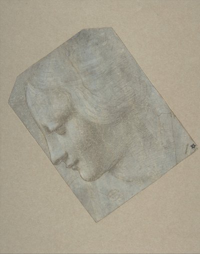 Het hoofd van een vrouw in profiel naar links, 1490-1500 door Follower of Leonardo da Vinci.