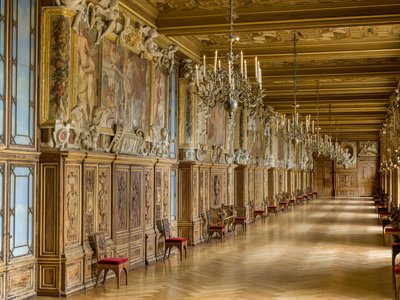 Overzicht van de galerij Francois 1er (foto) door Fontainebleau School