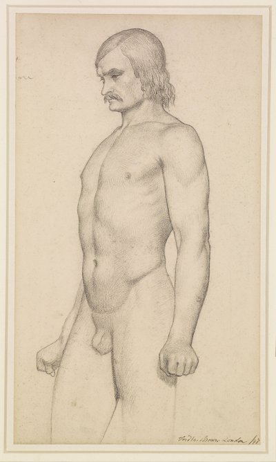 Mannelijk naakt - Academische studie, driekwart naakt, met snor en gebalde vuisten door Ford Madox Brown