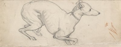 Studie van een Windhond door Ford Madox Brown
