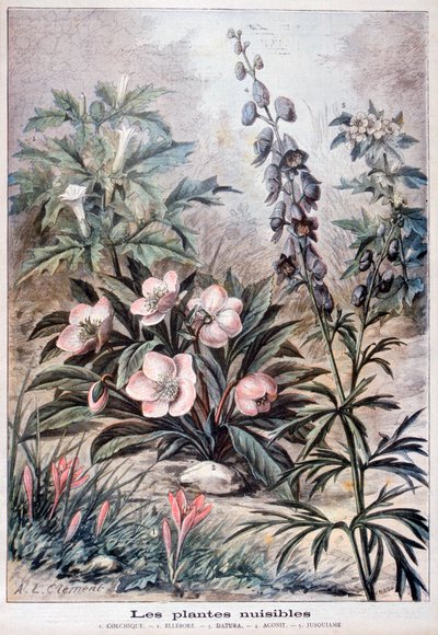 Schadelijke planten door Fortuné Méaulle