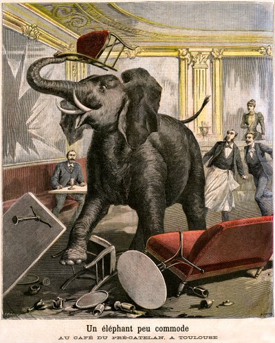 Een ongemakkelijke olifant: de pachyderm ontsnapt uit een circusmenagerie en breekt alles in het café van Pre-Catelan in Toulouse. Gravure door Meaulle en Meyer door Fortune Louis and Meyer Henri  Meaulle