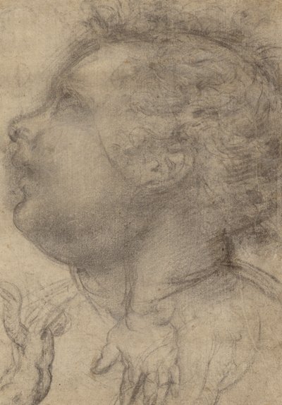 Hoofd van een kind, een engel en een hand (recto); mannelijke figuur (verso) door Fra Bartolommeo (Baccio della Porta)