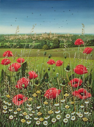 Oxford Klaprozen door Frances Broomfield