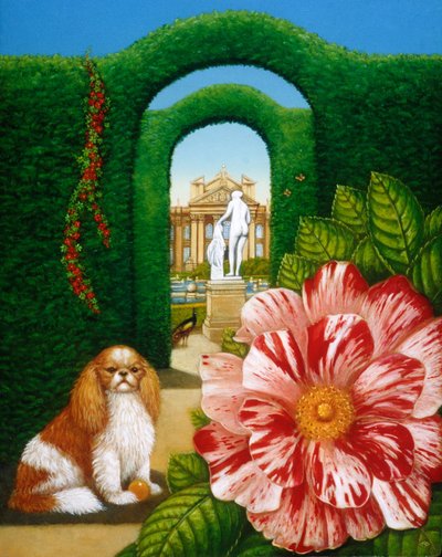 Rosa Mundi door Frances Broomfield