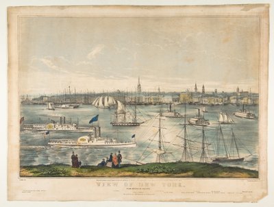 Uitzicht op New York vanaf Brooklyn Heights, 1849 door Frances Flora Bond Palmer
