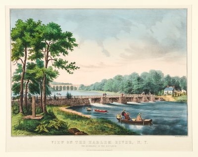 Uitzicht op de Harlem River, N.Y. door Frances Flora Bond Palmer