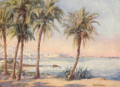 Algiers vanuit de Jardin d