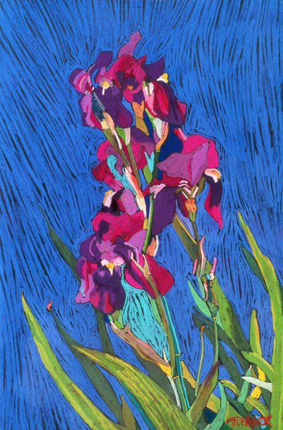 Irissen door Frances Treanor