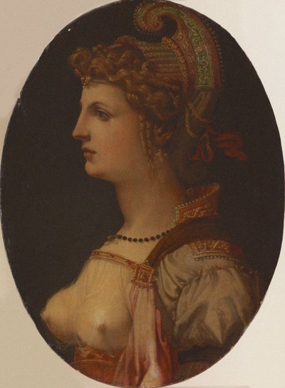 Ideaal Portret van een Dame Portret van Vittoria Colonna door Francesco Bacchiacca