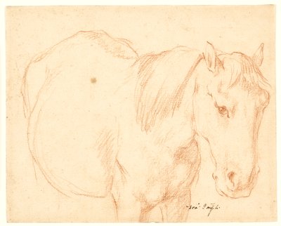 Een paard door Francesco Fernandi