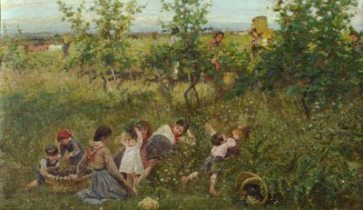 De druivenoogst door Francesco Gioli