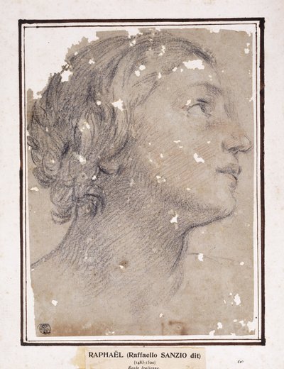 Het hoofd van een vrouw, in profiel naar rechts door Francesco Giovanni Gessi