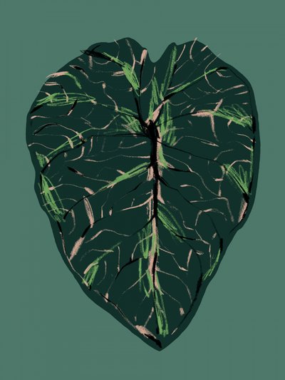  door Francesco Gulina