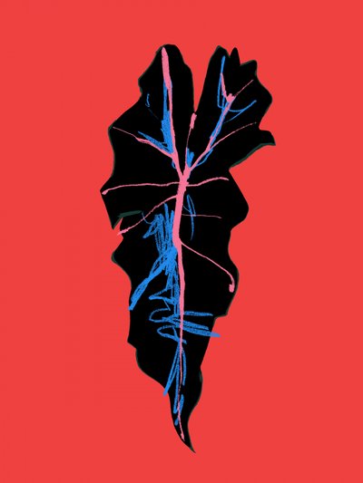  door Francesco Gulina