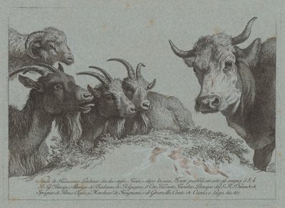 Studie van hoofden: drie geiten, een os en een ram, gepubliceerd ca. 1783 door Francesco Londonio