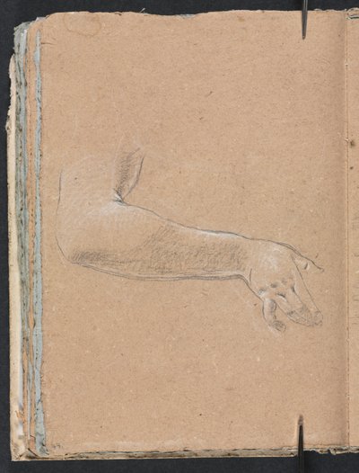 Verona Schetsboek: Vrouwelijke rechterarm en hand (pagina 44) door Francesco Lorenzi