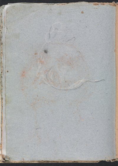 Verona Schetsboek: Hoofd (pagina 30) door Francesco Lorenzi