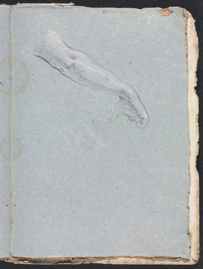 Verona schetsboek: Rechterarm en hand pagina 95 door Francesco Lorenzi
