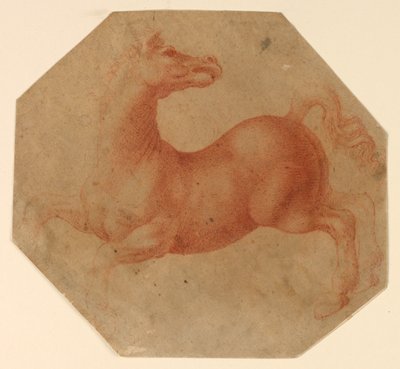 Studie van een steigerend paard naar Leonardo da Vinci door Francesco Melzi