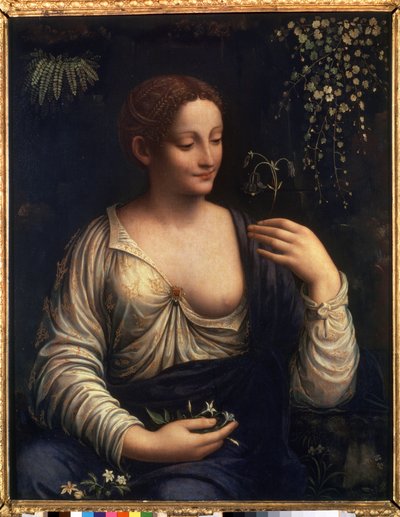 Flora door Francesco Melzi or Melzo