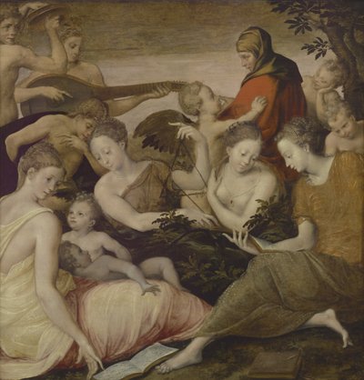 De Kunst van Muziek door Francesco Primaticcio