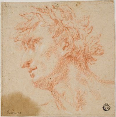 Profiel van mannelijk hoofd, gekroond met laurierbladeren door Francesco Solimena