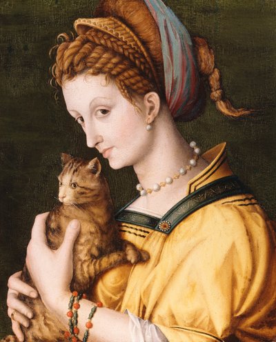 Dame met een kat, ca. 1525-30 door Francesco Ubertini Bacchiacca