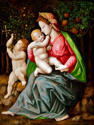 Maagd en Kind met de jonge Sint Jan door Francesco Ubertini Il Bacchiacca