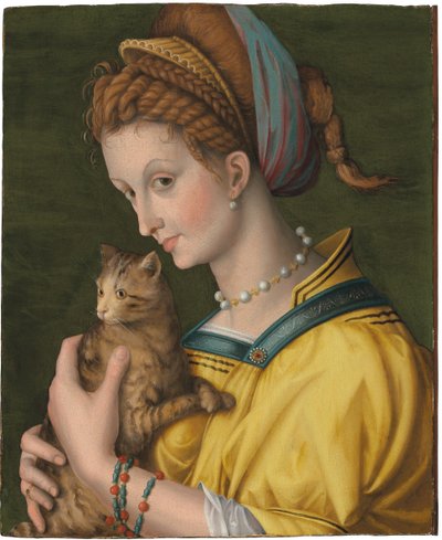 Portret van een Jonge Dame met een Kat door Francesco Ubertini Verdi Bachiacca