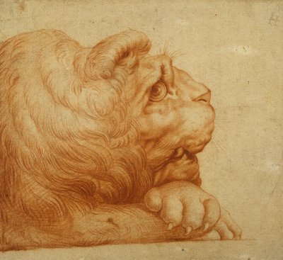 Een leeuwenkop in profiel door Francesco de Rossi Salviati Cecchino