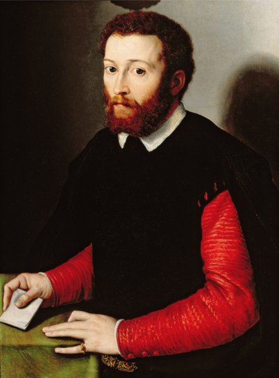 Portret van een man met een brief, c.1530-40 door Francesco de Rossi Salviati Cecchino