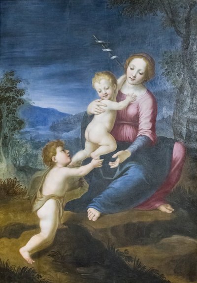 De Maagd met Jezus en Johannes de Doper door Francesco di Cristofano Franciabigio
