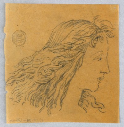 Schets van het hoofd van een vrouw in profiel door Francis Augustus Lathrop