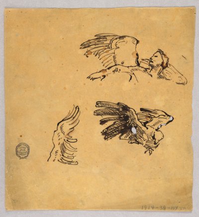 Studies van Vleugels door Francis Augustus Lathrop