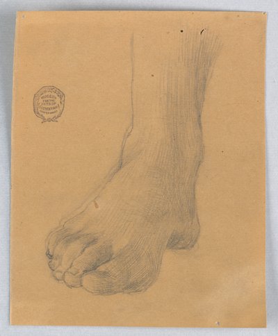 Studie van rechtervoet door Francis Augustus Lathrop