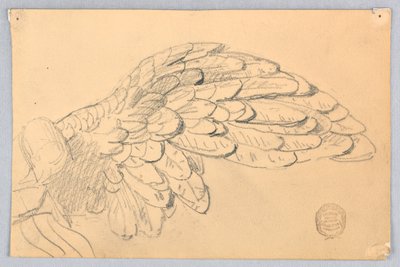 Studie van een vleugel door Francis Augustus Lathrop