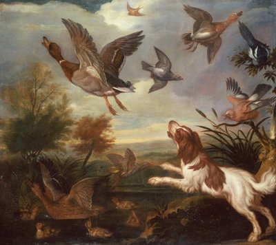 Een Spaniël die Wilde Eenden Opjaagt door Francis Barlow