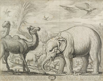 Afrika door Francis Barlow