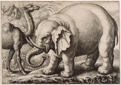 Een olifant en een kameel, gegraveerd door Wenceslaus Hollar (1607-77) 1663 door Francis Barlow