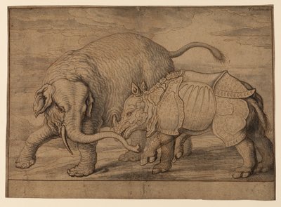 Gevecht tussen een olifant en een neushoorn door Francis Barlow