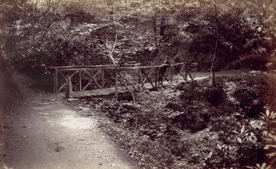 Colwyn Bay. Rustieke Brug in het Bos door Francis Bedford