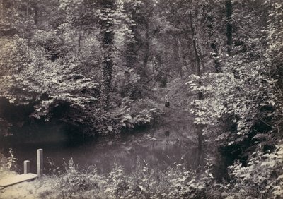 Colwyn Bay. Het zwembad in het bos, 1870s door Francis Bedford