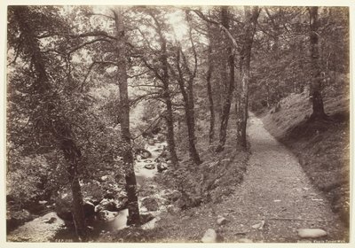 Dolgelley, Zicht in Torrent Walk door Francis Bedford