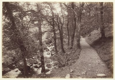 Dolgelley, uitzicht in Torrent Walk, 1860-94 door Francis Bedford