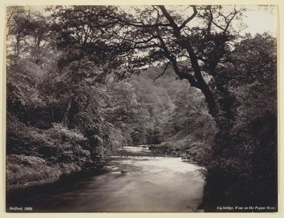 Ivy Bridge, Uitzicht op de rivier de Prysor door Francis Bedford